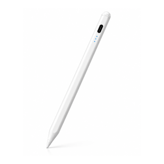 PENCIL PRO IGOMA